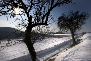 Eine herrliche Landschaft zu jeder Jahreszeit