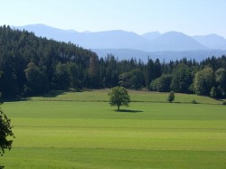 Reitanlage Kohlweisshof - umgeben von saftigen grünen Wiesen